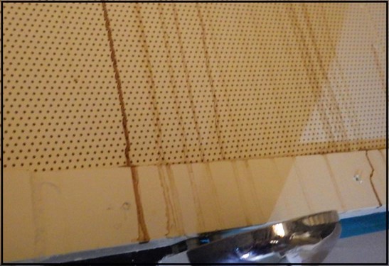 5 Dome Before Decontamination