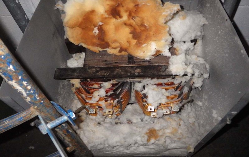 Figure 15.0 Visible Scorch Marks On Cotton Fibers Inside Square D Transformer